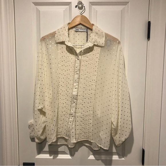 Zara Sheer Polka Dot Blouse - Picture 5 of 9